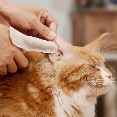 Bundle: HICC PET Antibacterial Ear Rinse with Cotton Swabs, 4-fl oz bottle + Relief Ear Finger Dog Cat & Small Pet Wipes