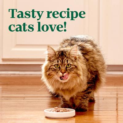 Perfect Portions Grain-Free Cuts in Gravy Variety Pack Chicken & Beef Recipe Adult Cat Food Trays, 2.64-oz, case of 12 twin-packs