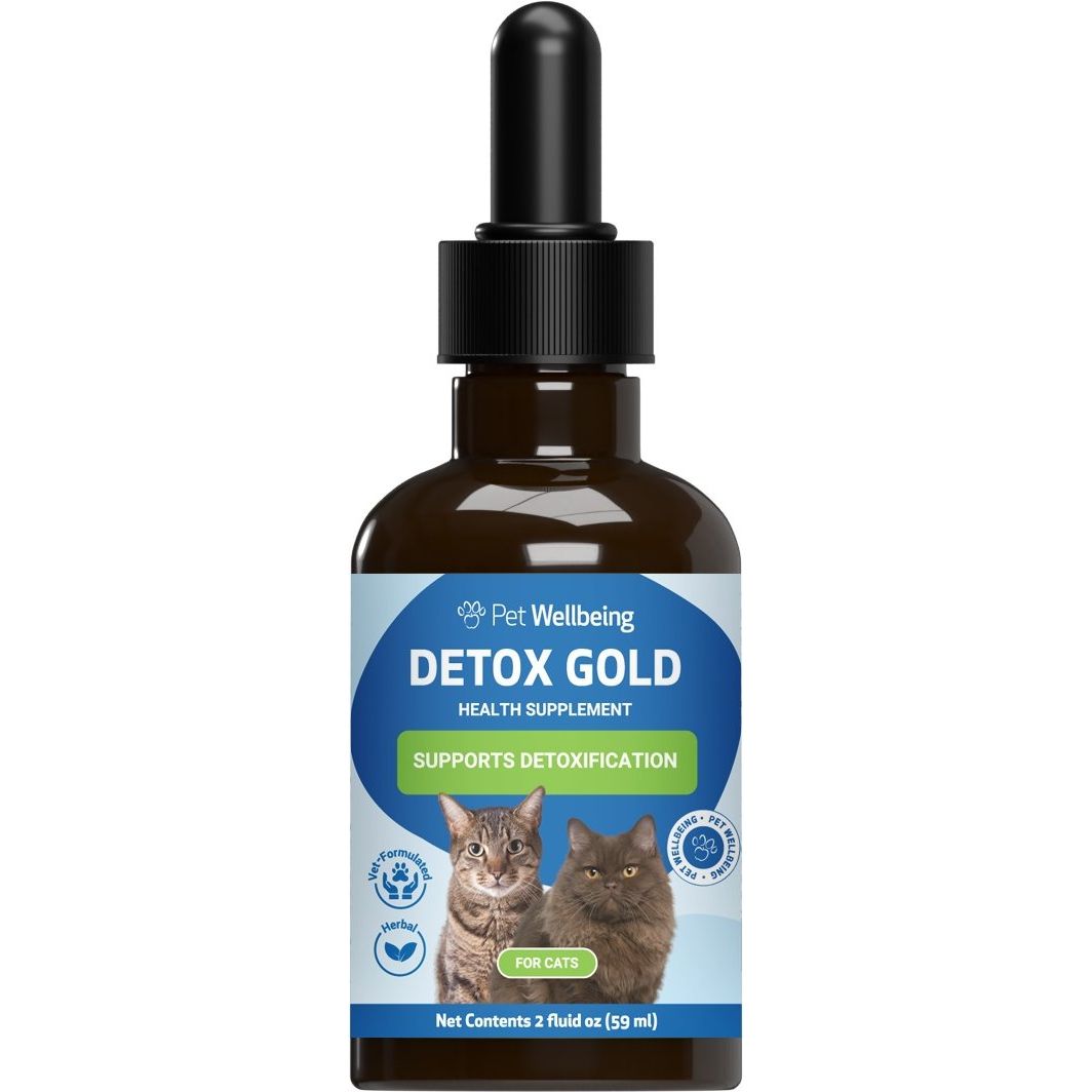 Detox GOLD Liquid Immune Supplement for Cats, sabor Tocino. 60 ml. - Pet Wellbeing