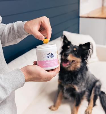 Skin & Coat Chew Supplement for Dogs, 30 count