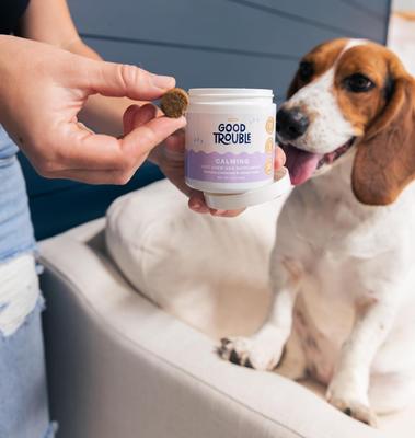 Calming Chew Supplement for Dogs, 30 count