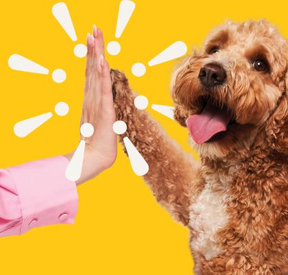 Beef Lover Beef Liver Raw Freeze-Dried Dog Treats, 14-oz bag