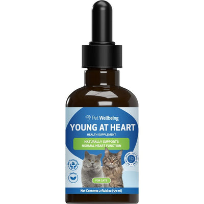 Young at Heart Liquid Heart Supplement for Cats, sabor Tocino. 60 ml. - Pet Wellbeing