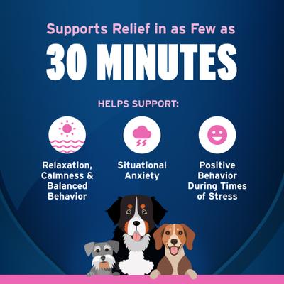Fast Acting Calming Supplement for Dogs, 60 count