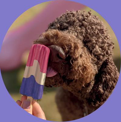 Rocket Lollies Strawberry & Blueberry Dog Chew Treat, 2 count