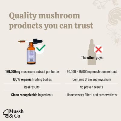 Mussh & Co Calm Reishi Mushroom Liquid Supplement for Dogs & Cats, 1.69-fl oz bottle