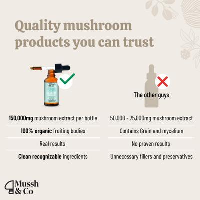 Mussh & Co Clarity Lions Mane Mushroom Liquid Supplement for Dogs & Cats, 1.69-fl oz bottle