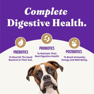 Holistic Plant-Based Adult Vegan Peanut Butter Recipe Dry Dog Food, 3.5-lb bag