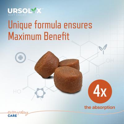 URSOLYX Soft Chew Supplement for Medium Breed Dogs, 60 count