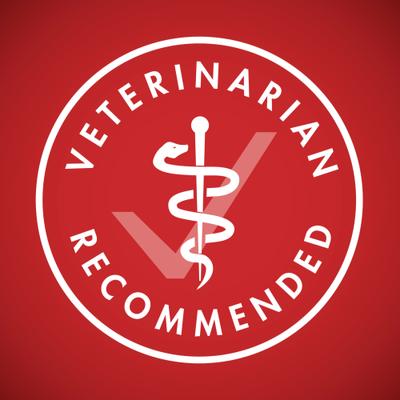 Lamb & Rice Formula Dry Dog Food, 4-lb bag