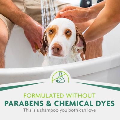 Champú ultra premium para perros Itch Relief, botella de 16 onzas líquidas