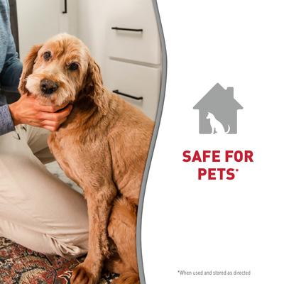 Odor Control Dog Shampoo, Lavender Scent, 16-oz bottle