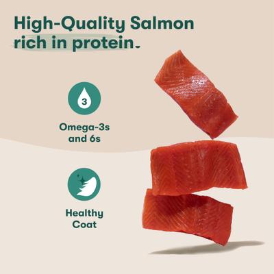 Salmon Tenders Jerky Dog Treats, 5-oz bag, 4 count