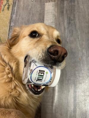 Dental Powder Supplement for Dogs & Cats, 85-gm jar