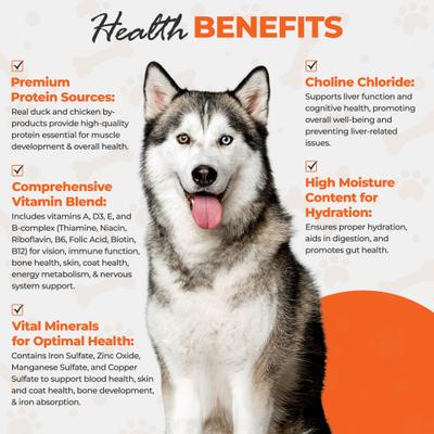 Chef Scoochies Recipe Variety Pack Real Chicken & Duck in Savory Gravy Wet Dog Food, 14-oz can, case of 6