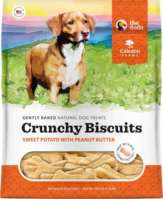 Dodo Chicken with Apple & Blueberry Crunchy Dog Treats, 19.5-oz bag