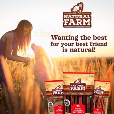 3 to 4-inch Bully Rings Dog Treats, 10 count