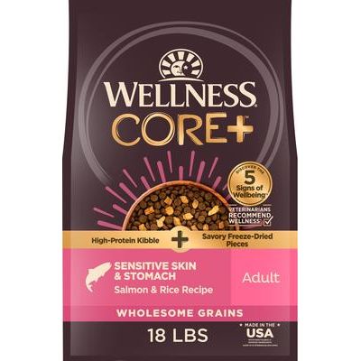 CORE+ Sensitive Skin & Stomach Natural Adult Salmon & Rice Recipe Dry Dog Food, 4-lb bag