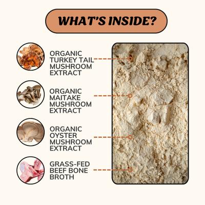 Caldo de hueso de res alimentado con pasto Longevity en polvo para alimento para perros, frasco de 7 oz