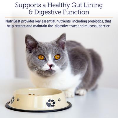 Cápsulas Nutrigest, suplemento digestivo para gatos y perros, 90 cápsulas