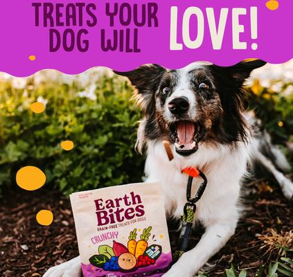 Lamb Flavored Crunchy Dog Treats, 2-lb bag