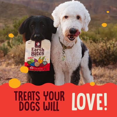 Bison Flavored Crunchy Dog Treats, 2-lb bag