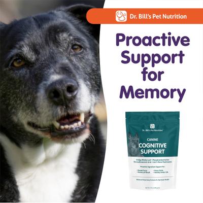 Canine Cognitive Support Brain & Nervous System Senior Dog Supplement Powder, 180-gm pouch