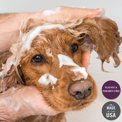 Coconut Cove 4-in-1 Dog Shampoo & Conditioner, 16-fl oz bottle