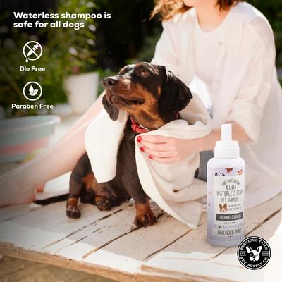 Live. Love. Groom. All-In-1 Waterless Foam Dog & Cat Dry Shampoo, Lavender Mint Scented, 500-mL bottle