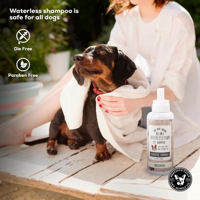 Live. Love. Groom. All-In-1 Waterless Foam Dog & Cat Dry Shampoo, Unscented, 500-mL bottle