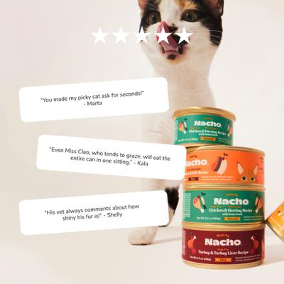 Turkey & Turkey Liver Recipe Grain-Free Minced Wet Cat Food, 5.5-oz can, case of 6