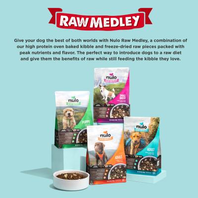 Raw Medley Beef & Sweet Potato Large Breed Adult Dry Dog Food, 20-lb bag