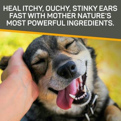 Rapid Ear Care Manuka Honey & MicroSilver BG Vet Strength Dog & Cat Ear Cleaner