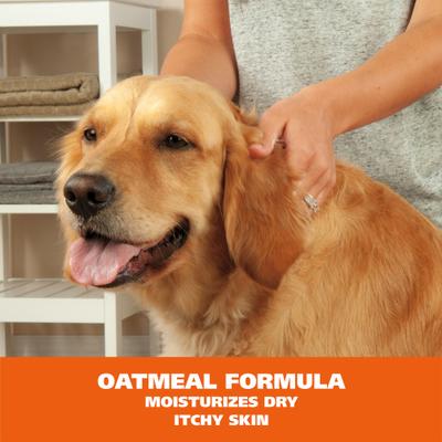 Waterless No-Rinse Oatmeal Dog Shampoo, 7.10-fl oz bottle