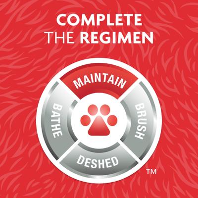 Fresh & Clean Dry Dog Shampoo, Scented, 7-fl oz bottle