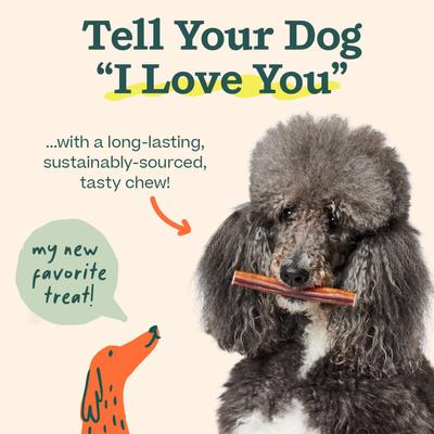 High Protein 6-inch Bully Stick Dog Chew, 5 count