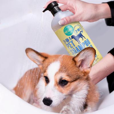 2-in-1 Dog & Cat Shampoo & Conditioner, Vanilla Scented, 32-fl oz bottle
