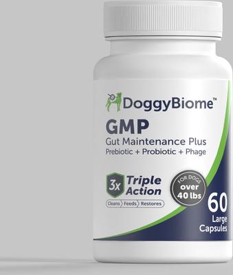GMP Capsule Digestive Aid Supplement for Dogs, Small, 60 count