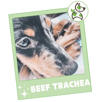 3-in Beef Trachea Dog Chew Treats, 12 count