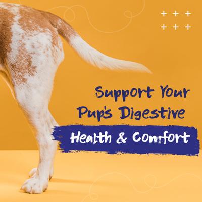 Anal Gland Support Supplement, 60 count