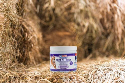 Joint N Tissue Chew Joint Supplement for Dogs