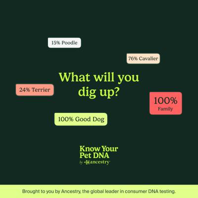 Breed Identification Dog DNA Test Kit