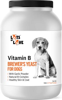Brewer's Yeast Garlic Flavored Skin & Coat Powder Supplement for Dogs, 16-oz jar