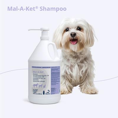 Shampoo for Dogs, Cats & Horses, 1-gallon bottle