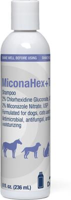 Shampoo for Dogs & Cats, 16-fl oz bottle