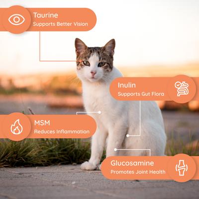 Tuna Flavored Electrolyte & Joint Supplement for Cats, 16 count