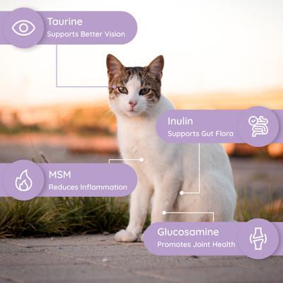 Salmon Flavored Electrolyte & Joint Supplement for Cats, 16 count