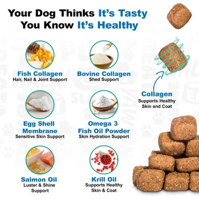 Salmon Flavored Skin & Coat Dog Supplements, 225 count