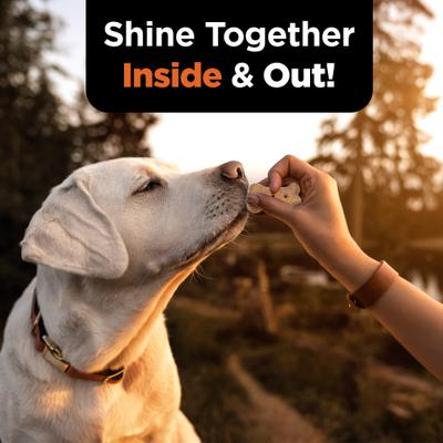 Skin & Coat Peanut Butter Flavor Biscuits Supplement for Dogs, 16-oz bag