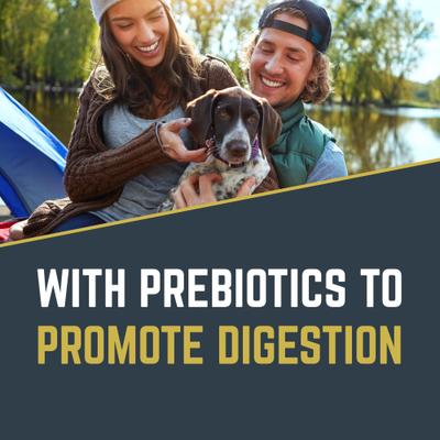 Comida seca para perros Explorer Original Performance 26/18, bolsa de 50 lb